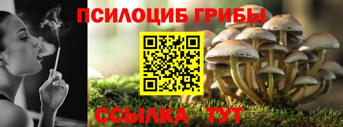 Галлюциногенные грибы Magic Shrooms Батайск